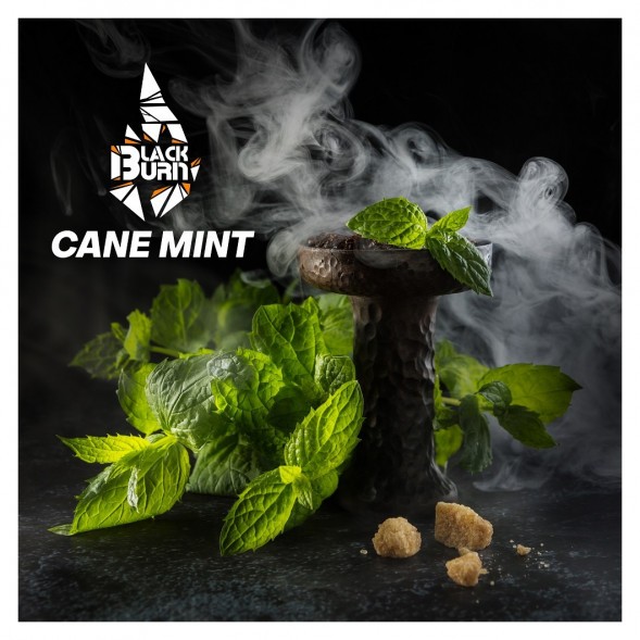 Табак BlackBurn - Cane Mint (Тростниковая Мята, 25 грамм) купить в Тольятти