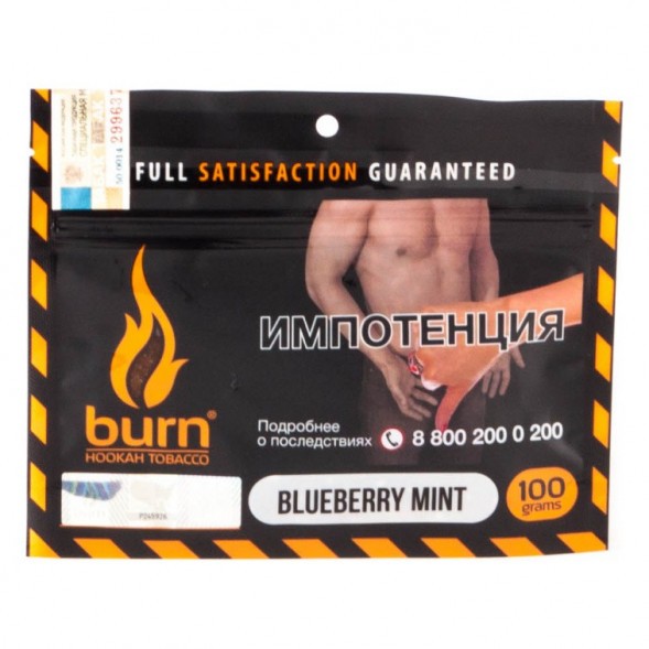 Табак Burn - Blueberry Mint (Черника с Мятой, 100 грамм) купить в Тольятти