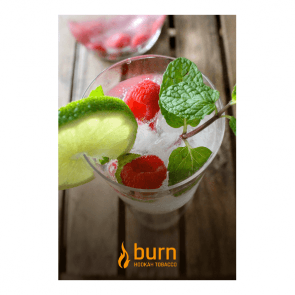 Табак Burn - Kamikaze (Лайм Малина Лед, 100 грамм) купить в Тольятти