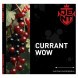 Табак Jent - Currant WOW (Кислая Смородина, 100 грамм) купить в Тольятти