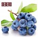 Табак Sebero - Blueberry (Голубика, 25 грамм) купить в Тольятти