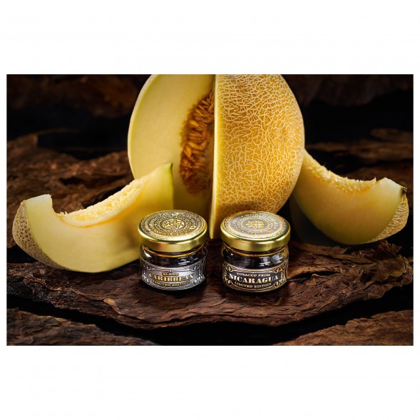 Табак WTO - Caribbean 15 Melon (Дыня, 20 г) купить в Тольятти