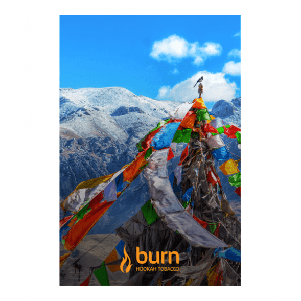 Табак Burn - Tibet (Индийские Специи, 100 грамм) купить в Тольятти