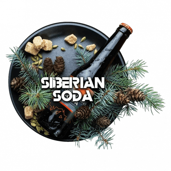 Табак BlackBurn - Siberian Soda (Лимонад Байкал, 25 грамм) купить в Тольятти