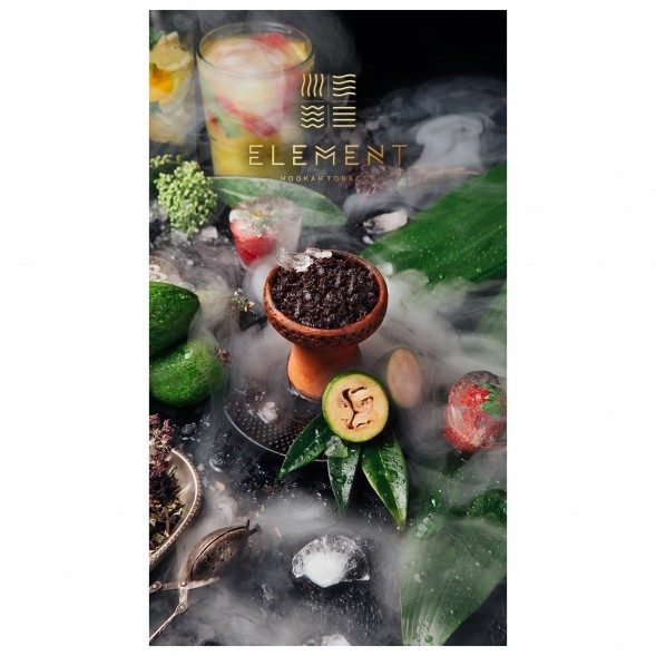Табак Element Вода - Feijoa (Фейхоа, 100 грамм) купить в Тольятти