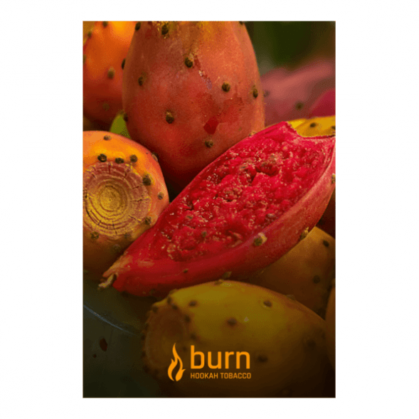Табак Burn - Juicy Apricot (Спелый Абрикос, 100 грамм) купить в Тольятти