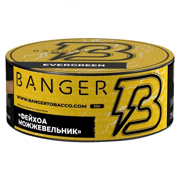 Табак Banger - Evergreen (Фейхоа Можжевельник, 25 грамм) купить в Тольятти