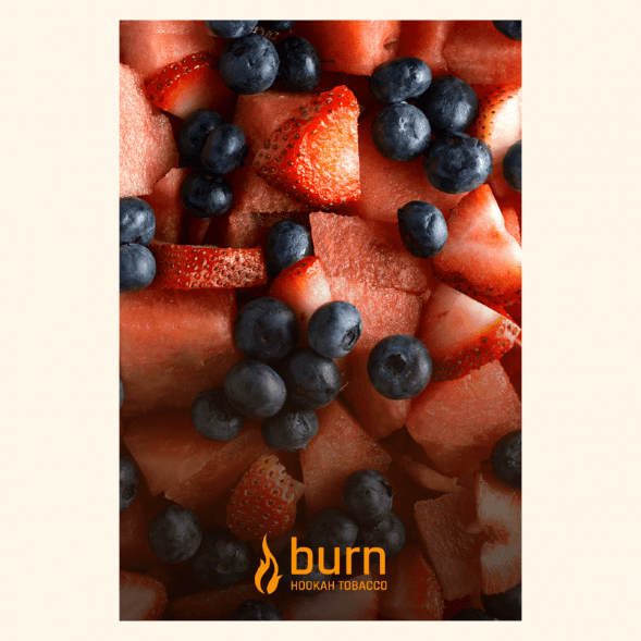 Табак Burn - Berried Treasure (Ягодный Микс, 25 грамм) купить в Тольятти