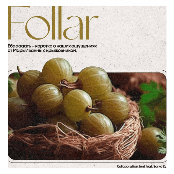 Табак Jent - Follar (Марь Иванна с Крыжовником, 200 грамм) купить в Тольятти