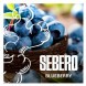 Табак Sebero - Blueberry (Голубика, 200 грамм) купить в Тольятти