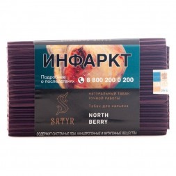 Табак Satyr - North Berry (Северная Ягода, 200 грамм)
