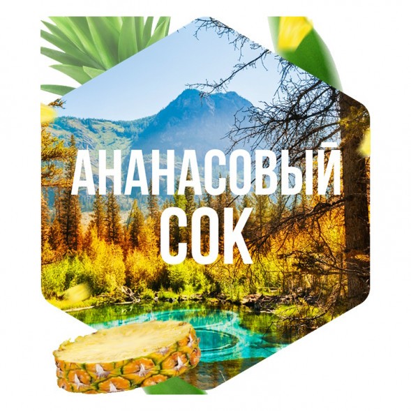 Табак Сарма - Ананасовый Сок (200 грамм) купить в Тольятти