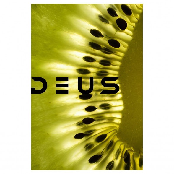 Табак Deus - Kiwi (Киви, 100 грамм) купить в Тольятти