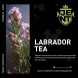 Табак Jent - Labrador Tea (Багульник и Саган Дайля, 25 грамм) купить в Тольятти