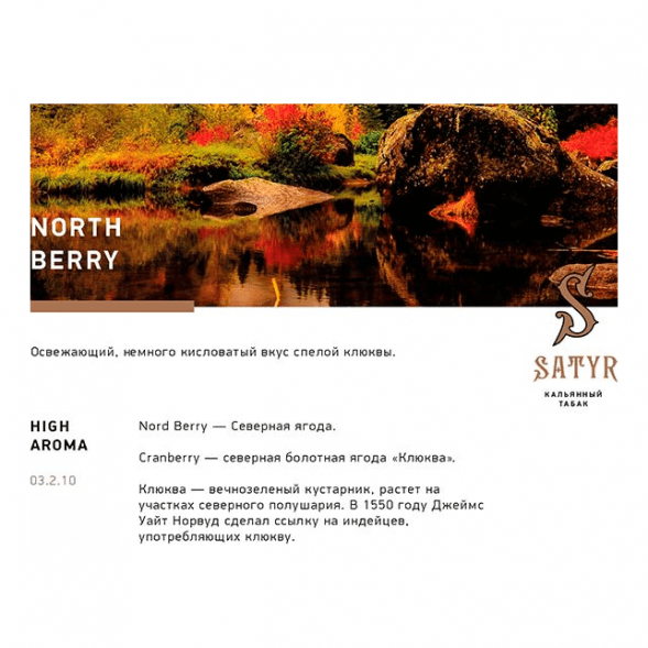 Табак Satyr - North Berry (Северная Ягода, 25 грамм) купить в Тольятти