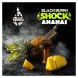 Табак BlackBurn - Ananas Shock (Кислый Ананас, 25 грамм) купить в Тольятти