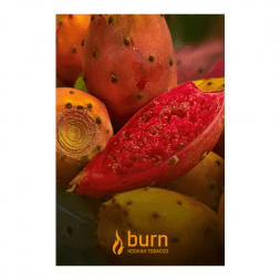 Табак Burn - Strawberry Jam (Клубничное Варенье, 25 грамм)