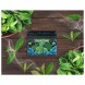 Смесь Malaysian Mix Medium - Mint (Мята, 50 грамм) купить в Тольятти