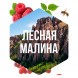 Табак Сарма - Лесная Малина (40 грамм) купить в Тольятти
