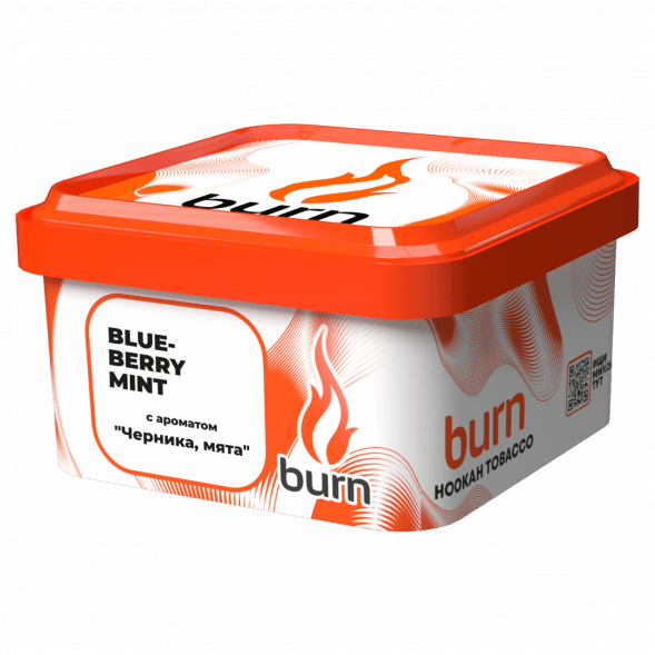 Табак Burn - Blueberry Mint (Черника с Мятой, 200 грамм) купить в Тольятти